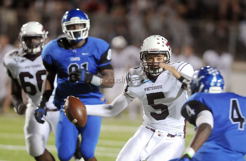 Top Cats: Lions, Wildcats honored on 16-4A team